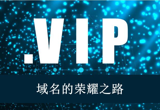 .VIP域名的荣耀之路！