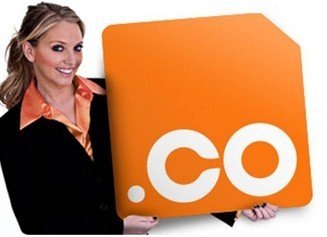 喜大普奔！.CO域名成为通过工信部审批的首个海外国别顶级域！